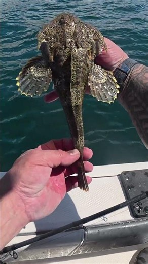 I Caught an ALIEN Fish… You Won’t Believe What This Thing Is 😳👽