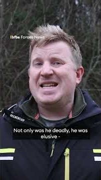 The White Death sniper explainer