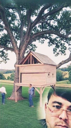 Building the Ultimate Cozy Tree Cottage - Full Process! 🏡✨