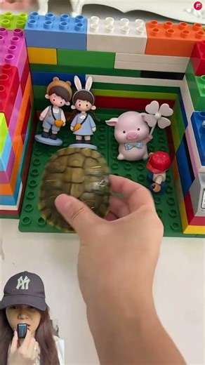 CARI RUMAH KURA KURA ⁉️ISTRINYA NUNGGU DI RUMAH 😁