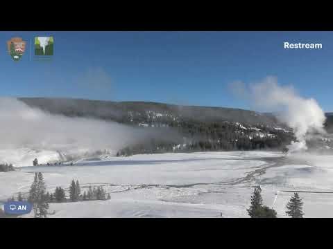 YELLOWSTONE 12.28.2025