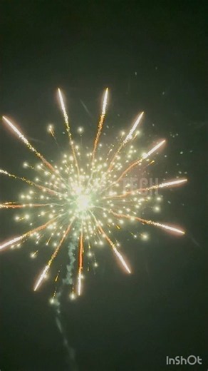 Magic Ring Balaji Fireworks #fireworks #skyshot #crackers #pyro