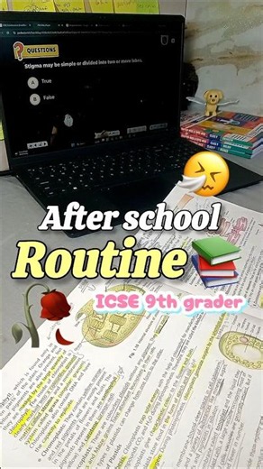 The only Class 9 routine you need for ICSE 📚
