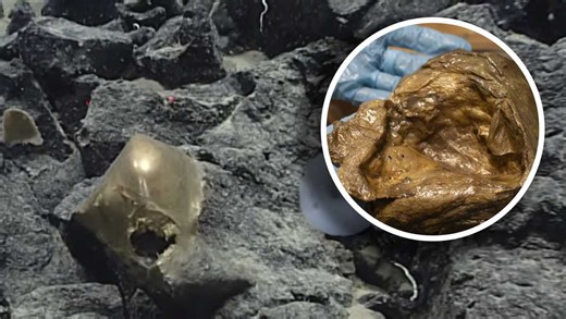 Scientists identify mysterious 'golden orb' found on ocean floor – and it’s not an alien egg