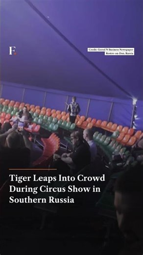 Tiger Leaps Into Crowd During Circus Show in Southern Russia | Subscribe to Firstpost