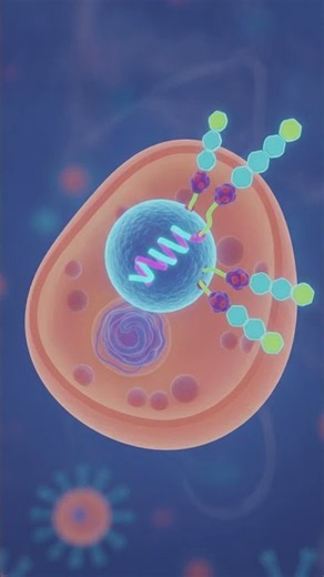 How Does mRNA Teach Cells to Make a Protein? #Shorts