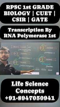 Transcription by RNA Polymerase I | rRNA Synthesis in Eukaryotes | CSIR | GATE | CUET | RPSC BIOLOGY