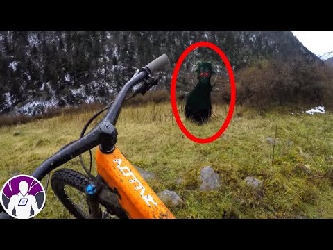 Videos De Fantasmas Reales Captados Por Accidente