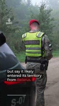 NATO downs drone over Lithuania, ‘probably’ launched by Russia | AJ #shorts