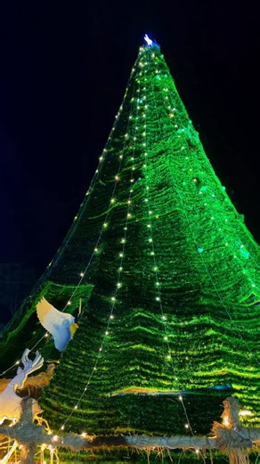 Shampuri wilson on Instagram: "RCM CHURCH PALVANCHA"