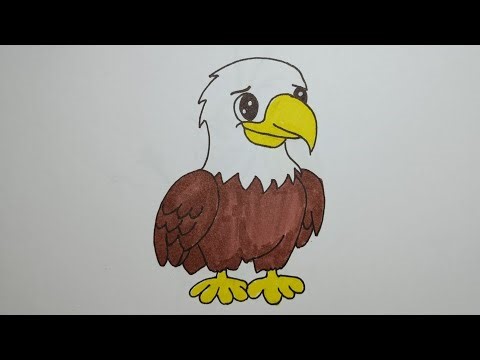 How to Draw an Eagle Step by Step | Easy Drawing Tutorial 🦅🤍✨