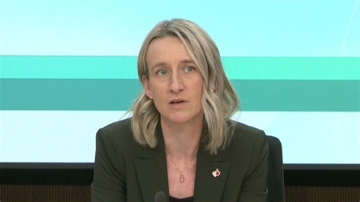 27 Canadians monitored by public health, nine deemed as high-risk amid hantavirus outbreak