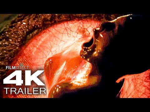 AFFECTION Official Trailer (2026)