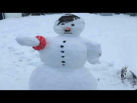 THE INTERNET WENT TOO FAR AGAIN | MEMES