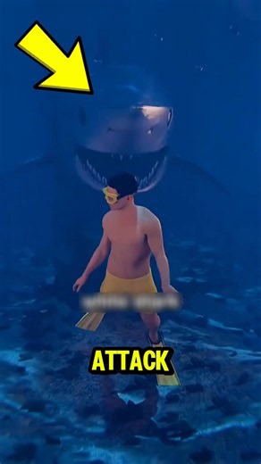 The Biggest Shark Attack Mistake People Make