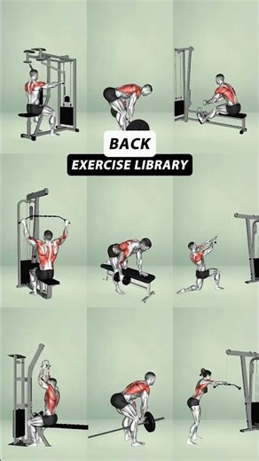 Ultimate Gym Back Workout for a Stronger Body - No Excuses #gym #yoga #buildmuscle #workout