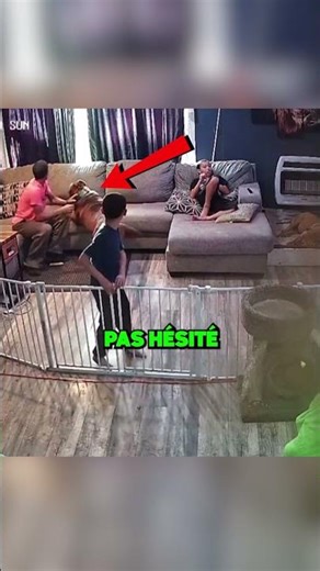 CE CHIEN A RISQUÉ SA VIE POUR SA FAMILLE 🐕❤️