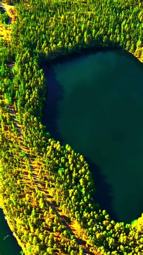 Breathtaking 8K HDR at 120fps #8K #HDR #DolbyVision