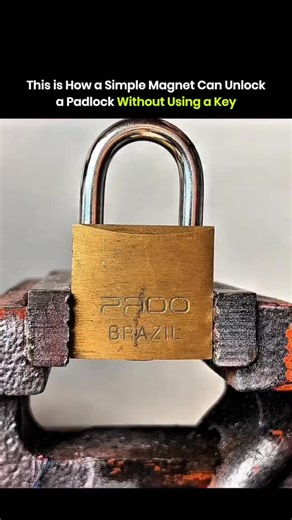 @scienceexplanation on Instagram: "A strong magnet defeats some padlocks in seconds. Some low complexity locks use spring loaded internal pins made from ferromagnetic metals. When you place a powerful magnet on the lock, the magnetic force pulls those pins upward. This copies the action of the correct key. The lock does not rely on mechanical rotation in this case. The magnetic force bypasses the internal mechanism and releases the shackle without cutting, picking, or damage. Modern security des