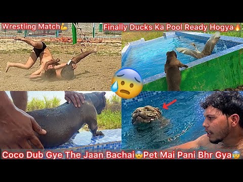 Coco Pani M Dub Gye The Jaan Bachai😨Pet Mai Pani Bhr Gya😰swimming Gone Wrong😢