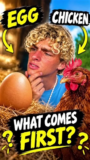 chicken or egg? | chicken filter game
