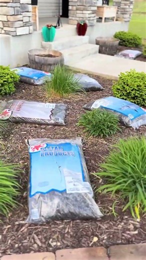Porch Upsafe on a budget #4 fresh mulch down in the garden Menards #mulch #patio #porch #budget