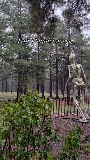 Fall in Flagstaff, Arizona | Autumn Colors & Surprise Thunderstorm
