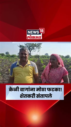 Jalgaon News | अतिथंडीचा केळी बागांना मोठा फटका | Marathi News | N18S