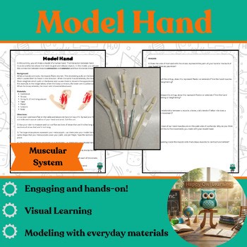 Model Hand: Muscular System Hands-on Activity Project Middle School Science