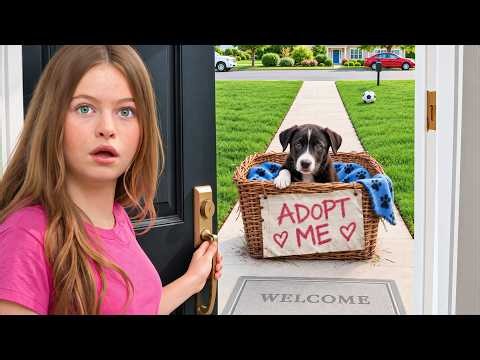 They Broke In and LEFT A PUPPY