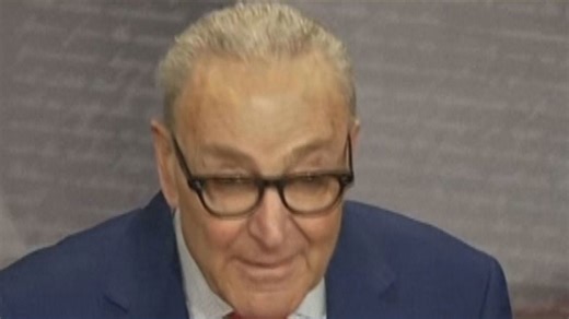 Senate Democrats oppose GOP workaround to fund ICE, Border Patrol