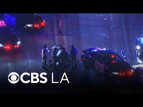 Suspect fights officers on 405 Freeway after police pursuit through LA and Orange counties
