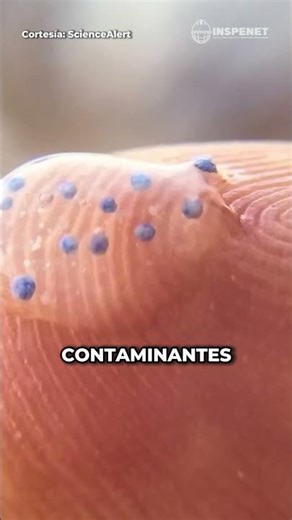 Bacterias que detectan microplásticos en el agua