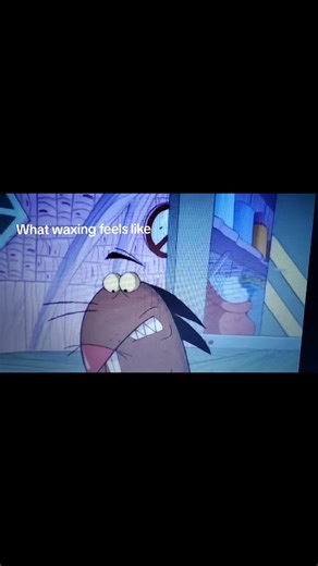 Angry Beavers meme