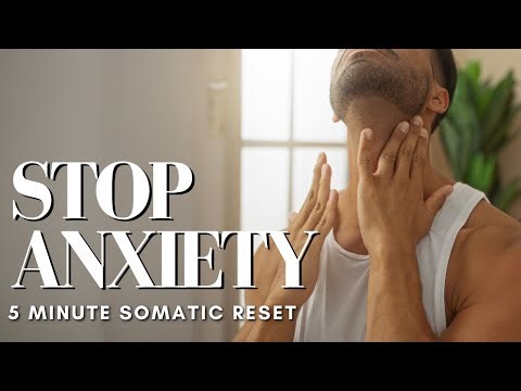 Vagus Nerve Reset to Stop Anxiety in 5 Minutes 🌿 Panic Attack Relief