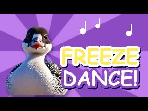 Freeze Dance for Kids with Gilly the Gull | Listening & Following Directions Game | Ages 2-5