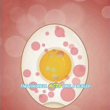 Why Microwaving an Egg Can Make It Explode in Your Mouth 😱