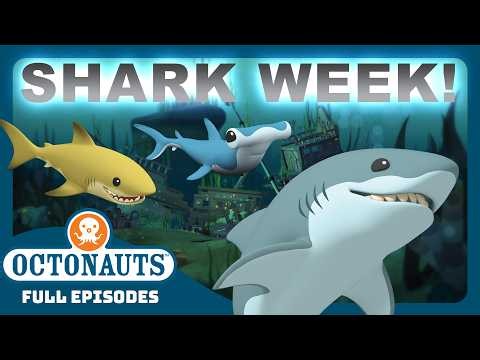 @Octonauts - 🔍 🦈 SHARK WEEK SPECIAL!  🦈  🔎  | 90 Mins+ Full Episodes Marathon