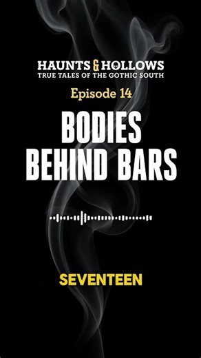 Episode 14: Bodies Behind Bars | Three Southern Gothic Serial Killers Who Kept Killing Behind Bars