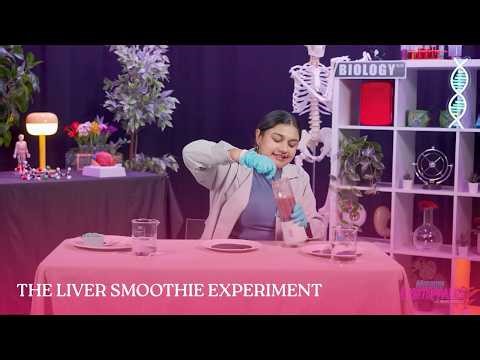 The Liver Smoothie Experiment