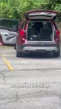 Bear opens car doors and trunk in Tennessee parking lot #shorts