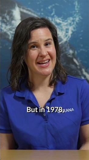 ESA Success Story: Green Sea Turtle 🐢