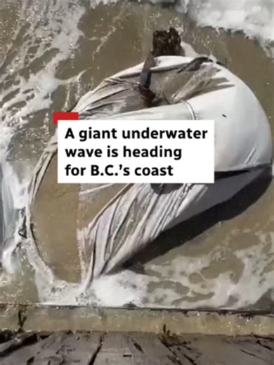 A giant underwater Kelvin wave could 'pack a punch' for B.C. in mid-October. This El Niño phenomenon could worsen the effects of storm surges and high tides. #Elnino #Weather #CBCNews