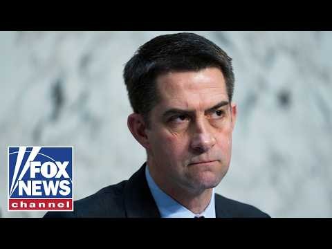 ‘DIVIDE AND INFLAME’: Sen Cotton WARNS of foreign ‘enemies’ allegedly funding radical groups