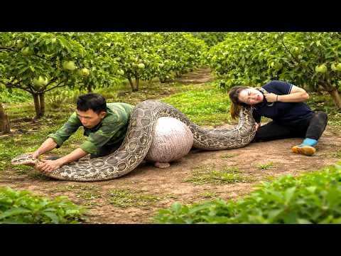 72 Hours Hunting in the Forest 😱 Father and Daughter Carelessly Allow Giant Python to Escape