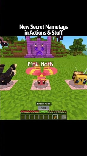 Minecraft New Nametags in Actions and Stuff 1.10 Update