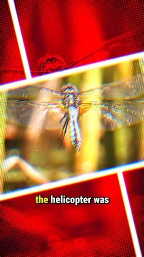 Engineers Spent Years Copying What This Insect Does Naturally 😳 #shorts