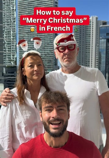 Merry Christmas in French
