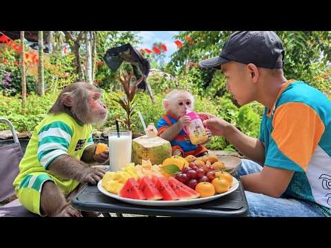 BUEM & CUTIS Enjoy a Special Fruit Feast With Dad… Such Happy Little Monkeys!