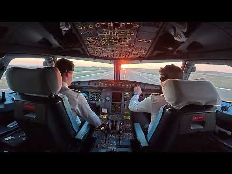 WHAT DOES A PILOT SEES DURING LANDING IN CROSSWIND?? Airbus A320 Cockpit View